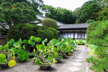 Japonya, Nara 'daki Toshodai-ji Budist tapınağı ve bahçesi..