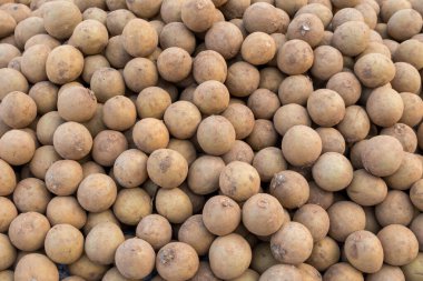 Hindistan 'da pazarda bir sürü taze Sapota meyvesi var. .