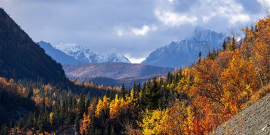 Alaska 'daki Glen karayolu boyunca kar renkli yapraklarla kaplı dağlar