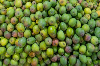 Pek çok Gir Kesar Mangos prim çeşitliliği Hindistan 'daki tüm satış pazarında satışa sunuldu.