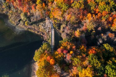 Maybury Eyalet Parkı, Michigan 'da sonbahar yeşillikleriyle çevrili köprü ve bisiklet yolu manzarası