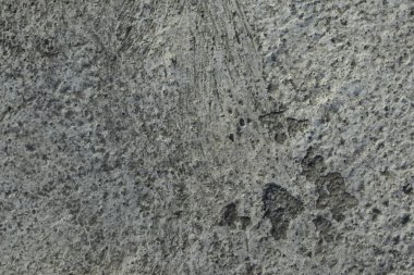 Soyut gri arkaplan, grunge sıva, çimento ya da desenli beton duvar. Vektör illüstrasyonu