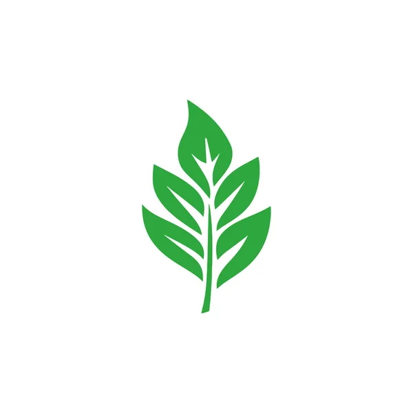 Логотип Ростков Элемент Экологии Природы Векторная Иллюстрация — стоковый вектор