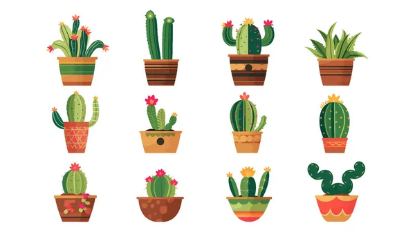 Set Cactus Interior Plano Estilo Dibujos Animados Sobre Fondo Blanco — Archivo Imágenes Vectoriales