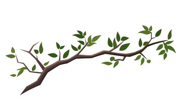 Düz Bir Ağaç Dalı Bahar Ağacı Dalları Farklı Yapraklar Vektör — Stok Vektör