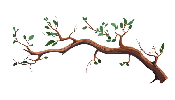Ramo Árvore Estilo Plano Ramos Árvores Primavera Com Folhas Diferentes —  Vetores de Stock