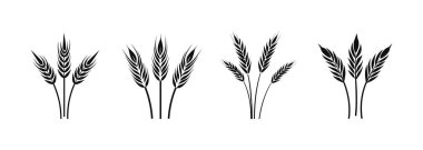 Beyaz arka planda buğday logo simgesi kümesi. Vektör illüstrasyonu