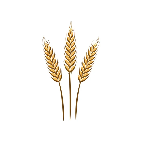 Landwirtschaft Weizen Logo Vektorillustration — Stockvektor