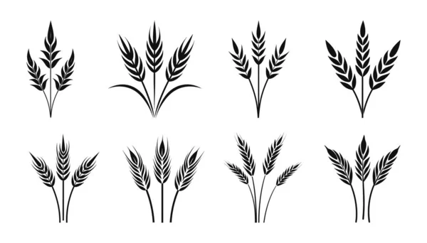 Beyaz Arka Planda Buğday Logo Simgesi Kümesi Vektör Illüstrasyonu — Stok Vektör