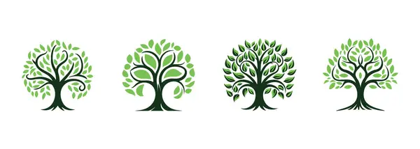 Árvore Vida Fundo Branco Ilustração Vetorial —  Vetores de Stock