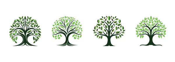 Árvore Vida Fundo Branco Ilustração Vetorial —  Vetores de Stock