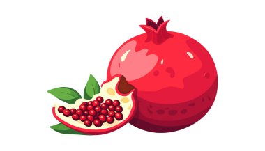 Nar meyveleri. Beyaz arka planda izole edilmiş düz nar çizimi. Vektör illüstrasyonu