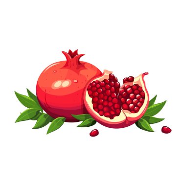 Nar meyveleri. Beyaz arka planda izole edilmiş düz nar çizimi. Vektör illüstrasyonu