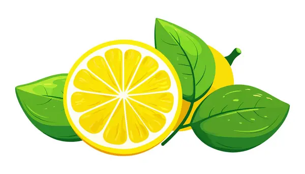Gelbe Zitrone Mit Scharlachroten Blättern Auf Weißem Hintergrund Hintergrund Vektorillustration — Stockvektor