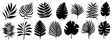 Beyaz arka planda izole edilmiş palmiye yaprakları. Siyah yapraklar. Vektör illüstrasyonu