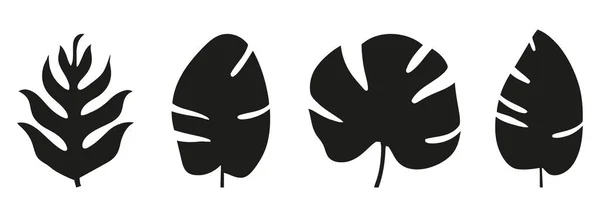 一组被白色背景隔离的棕榈叶的轮廓 黑色的叶子 矢量说明 — 图库矢量图片