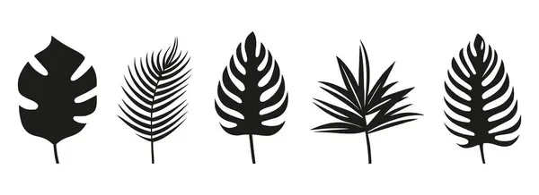 Set Von Silhouetten Von Palmblättern Isoliert Auf Weißem Hintergrund Schwarzes — Stockvektor