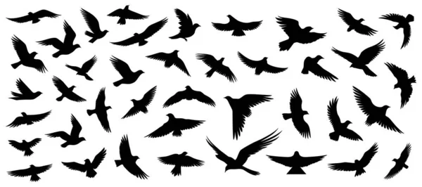 Set Von Silhouetten Fliegender Vögel Flachem Stil Auf Weißem Hintergrund — Stockvektor