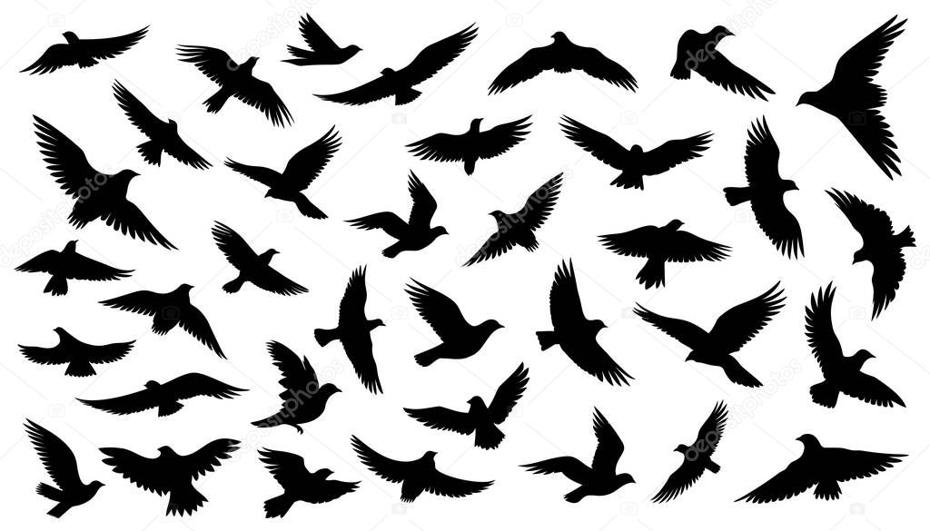 Set of silhouettes of flying birds in a flat style on a white background. Vector illustration