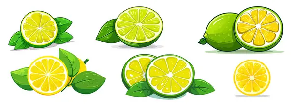 Állítsa Sárga Citrom Lime Levelek Skarlát Stílusban Fehér Alapon Háttér — Stock Vector