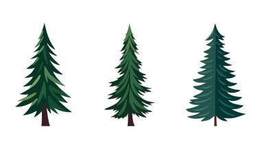 Green set of Christmas trees isolated. Vector illustration clipart