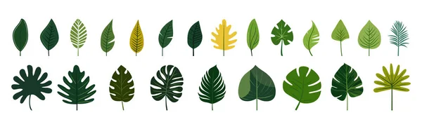 stock vector Collection of tropical leaves. Flat isolated elements on a white background. Vector illustration