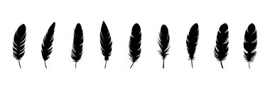 Feather Set simgesi, beyaz arkaplanda logo izole edildi. Vektör illüstrasyonu