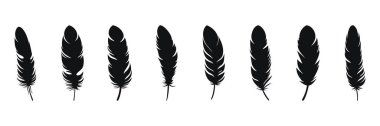 Feather Set simgesi, beyaz arkaplanda logo izole edildi. Vektör illüstrasyonu