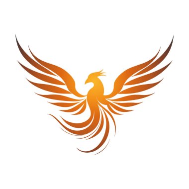 Phoenix Halka Kanatları logosu. Şahin Kartal kuş logosu simgesi. Vektör illüstrasyonu