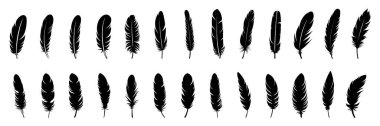 Feather Set simgesi, beyaz arkaplanda logo izole edildi. Vektör illüstrasyonu