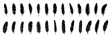 Feather Set simgesi, beyaz arkaplanda logo izole edildi. Vektör illüstrasyonu