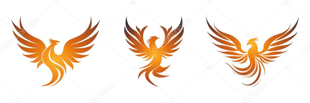 Set Phoenix Rings Wings logo. Falcon Eagle Hawk bird logo icon. Vector illustration