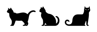 Simge siyah kedi silueti izole edildi. Vektör illüstrasyonu