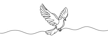 güvercin aralıksız tek bir çizgide çizildi.