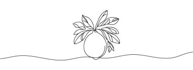 Sürekli bir çizgi çiziyor. Limonlu meyve
