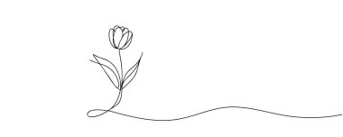 Lale sürekli bir çizgi halinde çizilir.