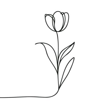 Lale sürekli bir çizgi halinde çizilir.