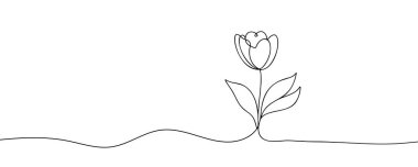 Lale sürekli bir çizgi halinde çizilir.