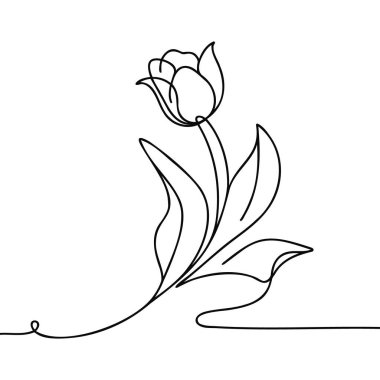 Lale sürekli bir çizgi halinde çizilir.