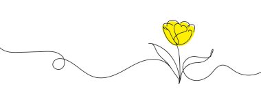 Lale sürekli bir çizgi halinde çizilir.