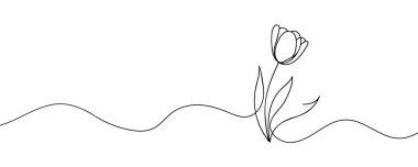 Lale sürekli bir çizgi halinde çizilir.