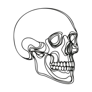 İnsan kafatası. Bir çizgi beyaz arka planda izole edilmiş cadılar bayramı kafatası. Çizgi sanatı ana hatları vektör çizimi.