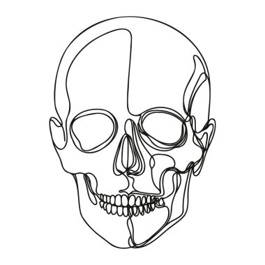 İnsan kafatası. Bir çizgi beyaz arka planda izole edilmiş cadılar bayramı kafatası. Çizgi sanatı ana hatları vektör çizimi.