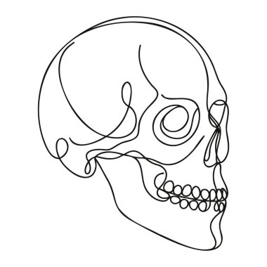 İnsan kafatası. Bir çizgi beyaz arka planda izole edilmiş cadılar bayramı kafatası. Çizgi sanatı ana hatları vektör çizimi.