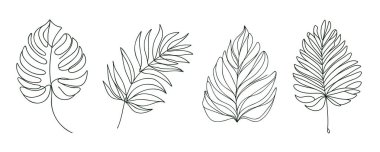 Tropikal yapraklar tek sıra çizim tarzında, siyah ve beyaz tropikal çizimler.