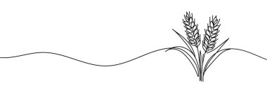 Sürekli bir sıra buğday çizimi. Arpa ya da çavdar ana hatlı vektör çizimi. Sürekli bir buğday çizgisi