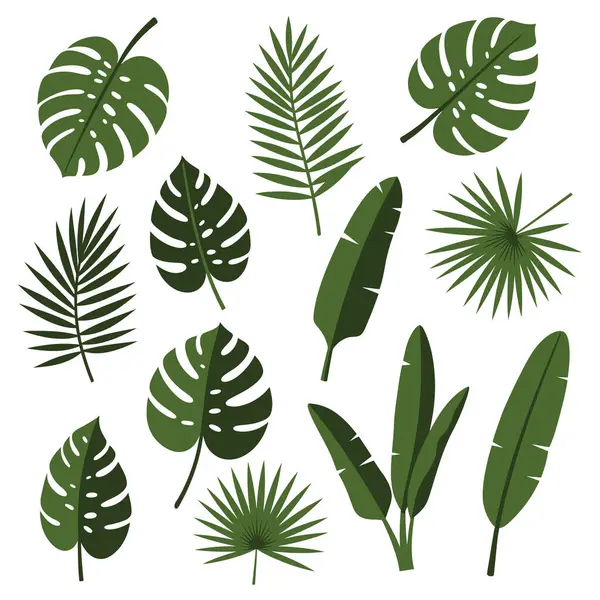 Tropik klasik palmiye yaprakları çiçek tokası sanatı. Egzotik botanik seti