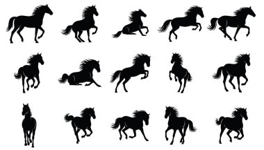 Bir dizi at silueti. Atlar koşuyor. şeffaf ana arkaplanda izole edildi