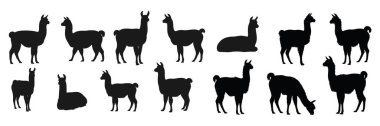 Beyaz arkaplanda lama siluetleri koleksiyonu.