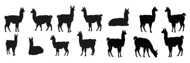 Beyaz arkaplanda lama siluetleri koleksiyonu.